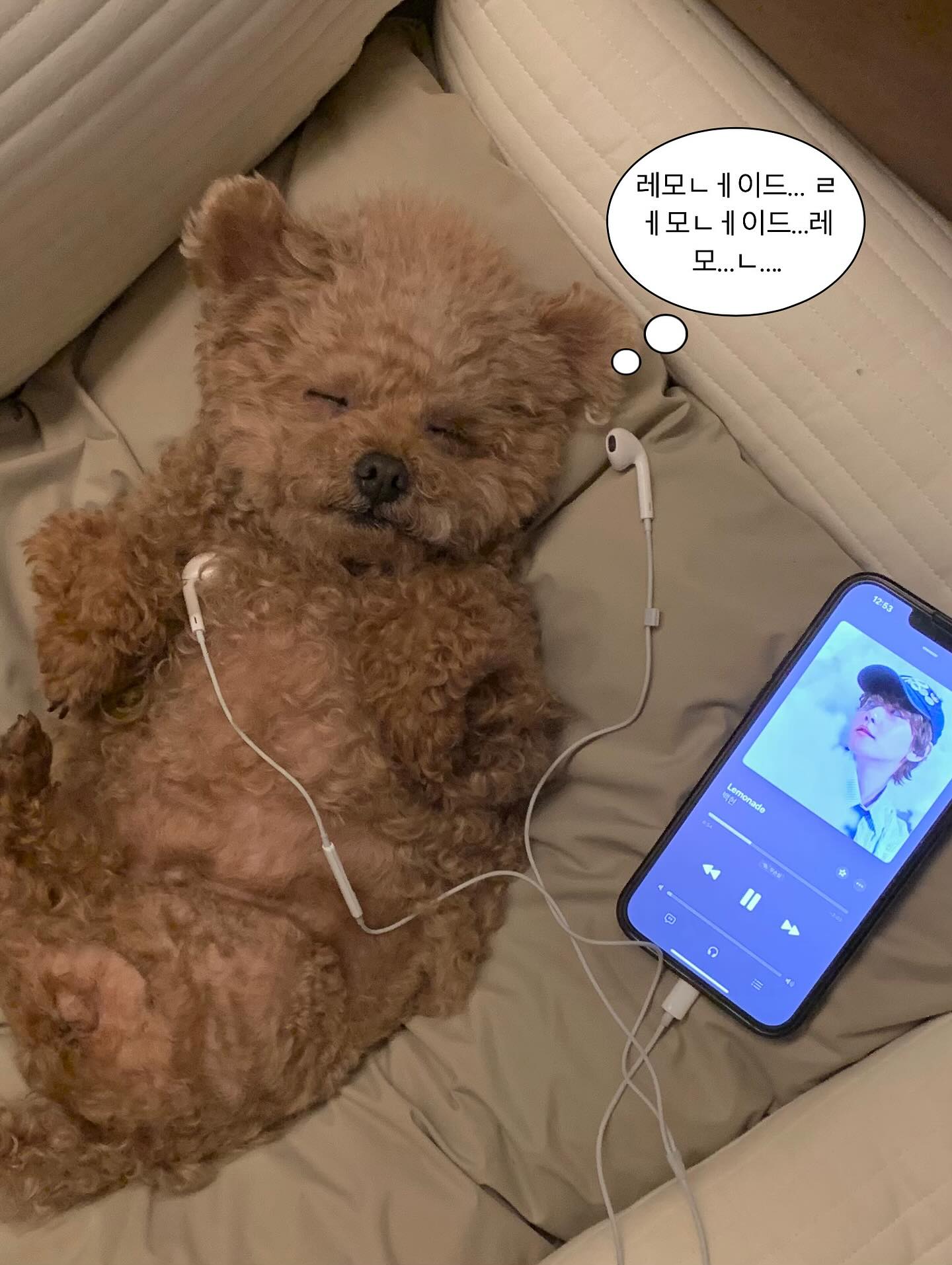 [잡담] 강아지 인스타에 백현이 노래 듣는거 피드에 떴는데 | 인스티즈