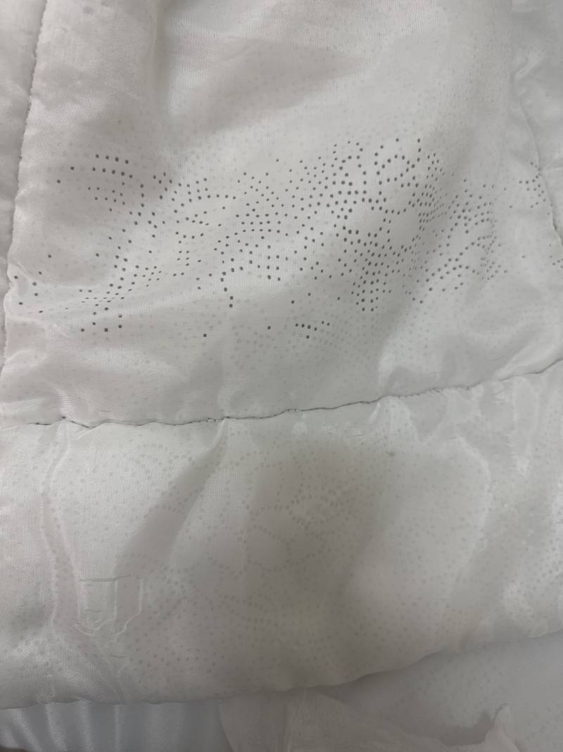 [잡담] 얘들아 ……. 고시텔 이불이 상태가 이런데 이거 곰팡이야?… | 인스티즈