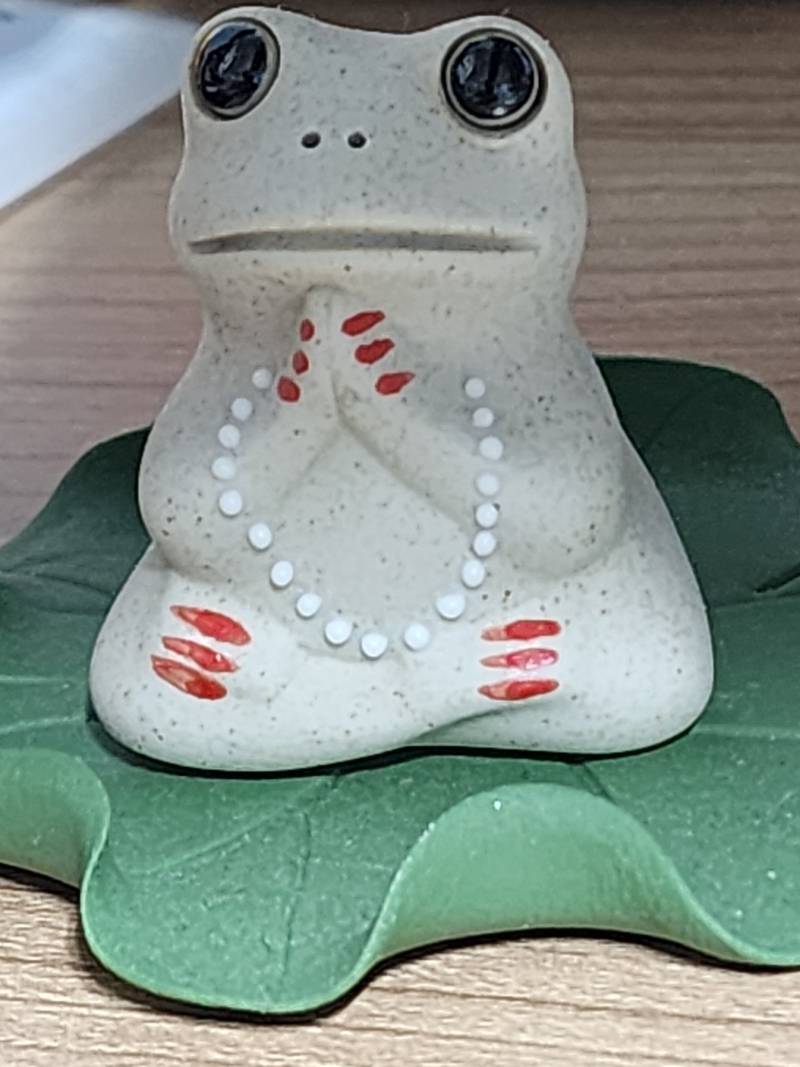 [잡담] 불교개구리 왔당 🐸 | 인스티즈