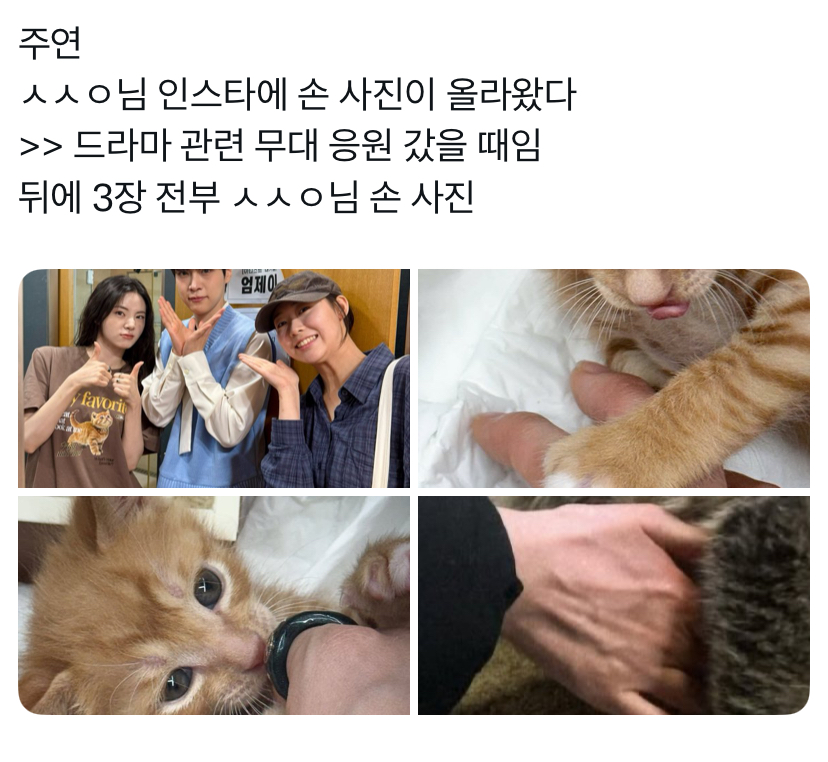 [정리글] 더보이즈 알계 주작 모음 | 인스티즈