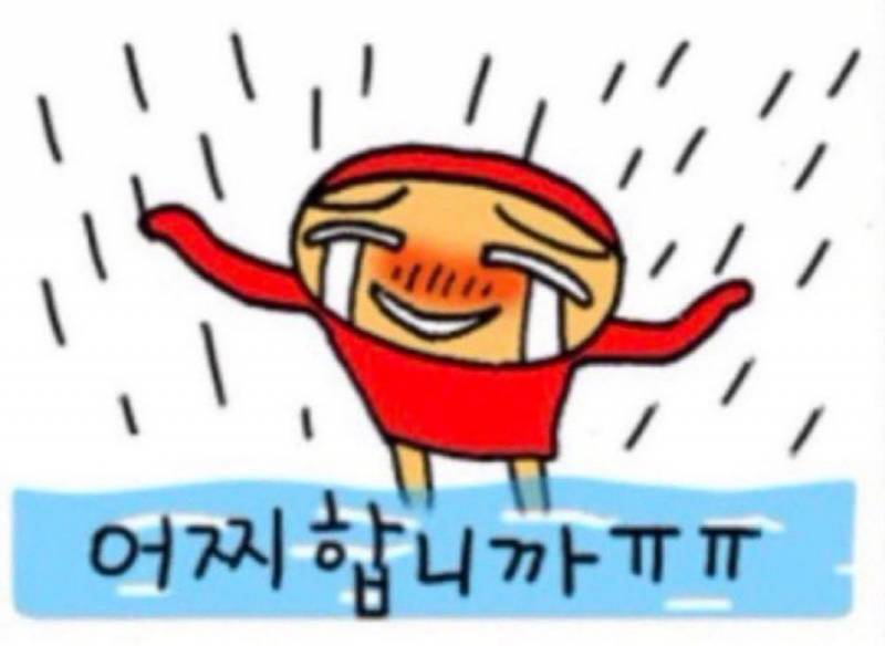 [잡담] 미친 정해영 이번주 92구 던지면서 세이브 0 | 인스티즈