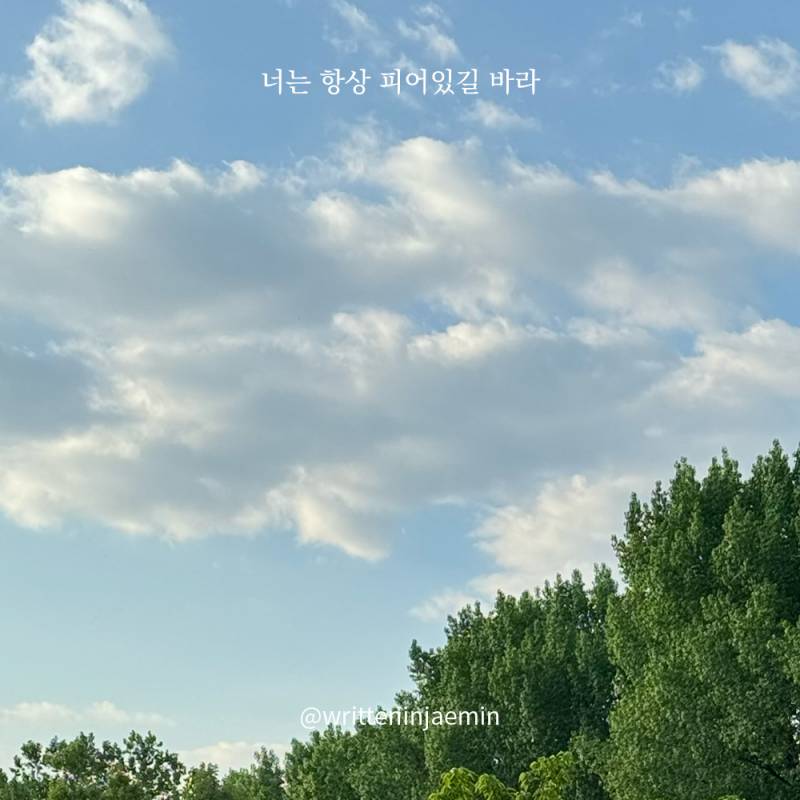 [피어있길바라] 오늘만은 네 마음을 따라가도 괜찮아 | 인스티즈