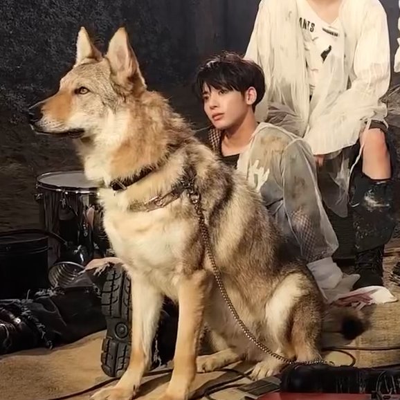 [잡담] 이거ㅋㅋ 원근법이지?ㅋㅋㅋ 개가 ㄹㅇ 개큰데 | 인스티즈
