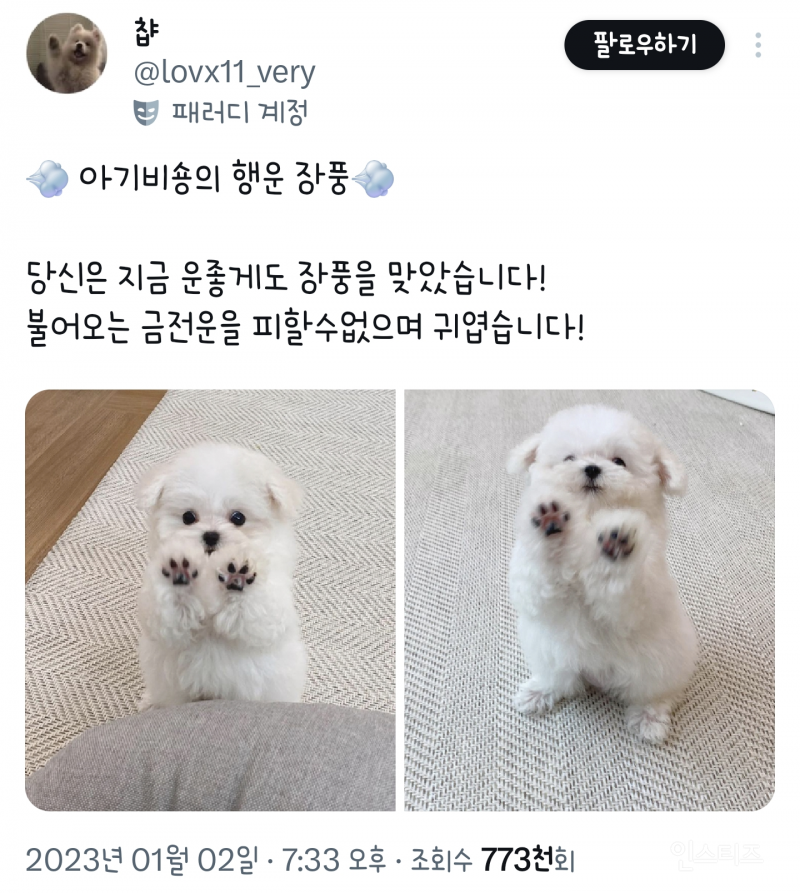 당신은 지금 운좋게도 장풍을 맞았습니다! | 인스티즈