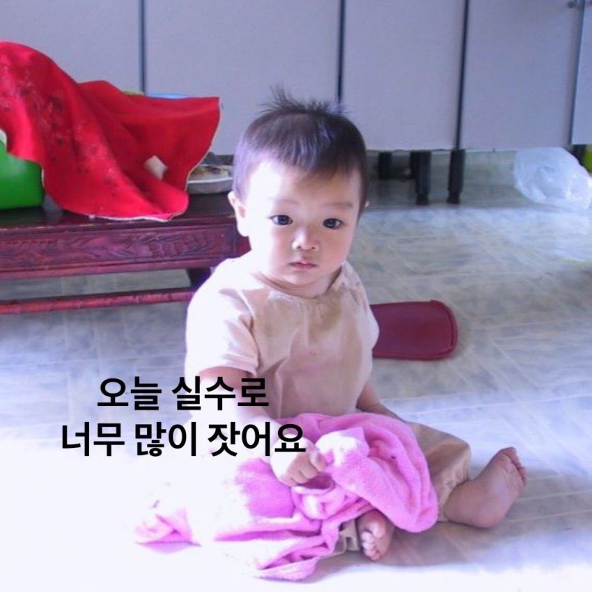 [잡담] 성찬이식 팬서비스 운영이 ㄴㅁ 코엽다 일주일내내 버블오다가 하루는 위버스 오기 | 인스티즈