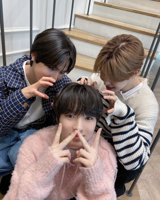 [잡담] 위시 가족즈 너무귀엽다… | 인스티즈