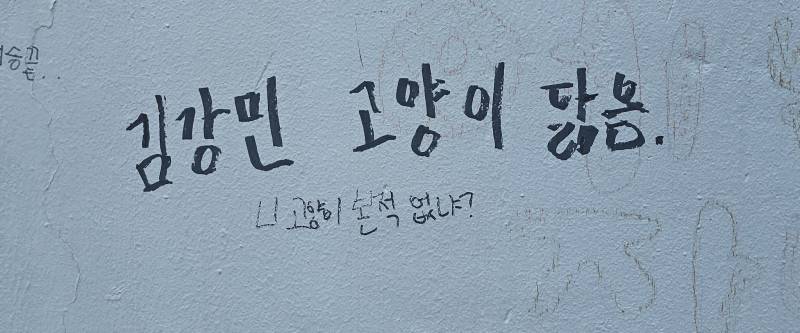 [잡담] 김강민 고양이 닮음 | 인스티즈