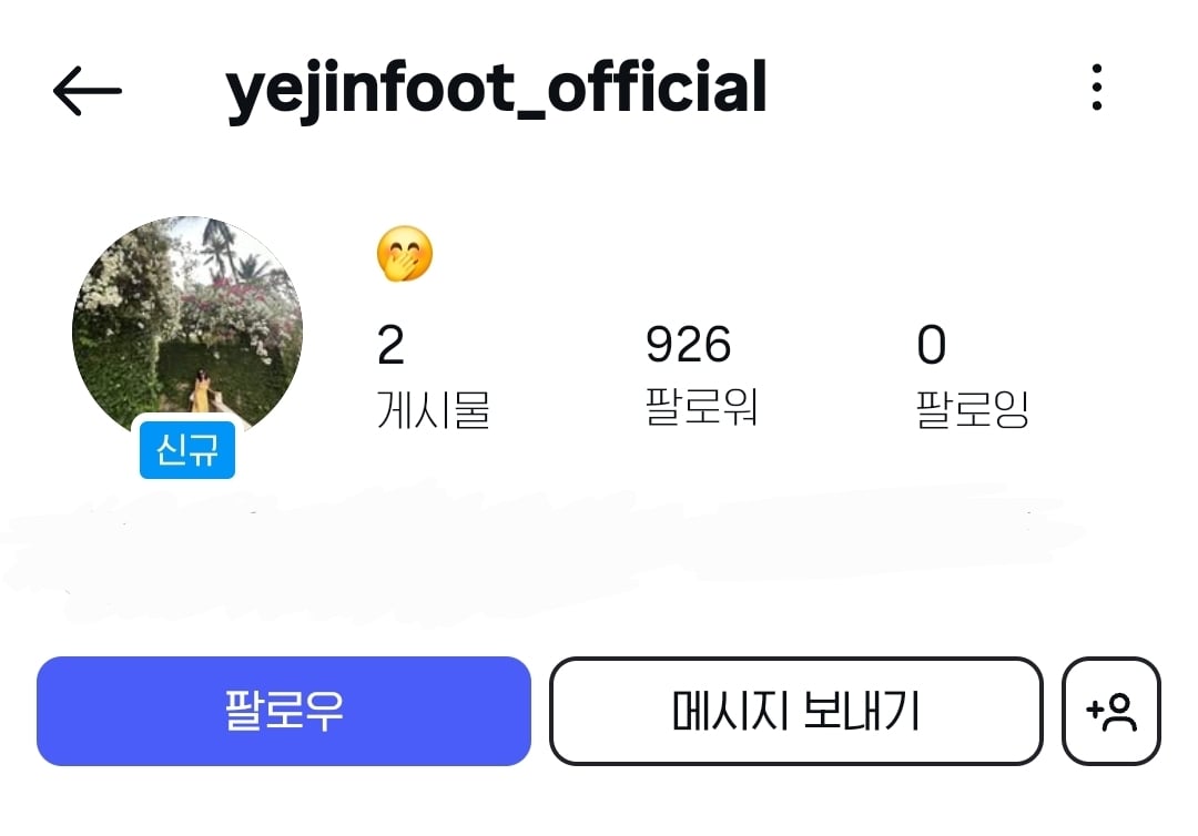 [잡담] 배우 손예진 인스타그램 부계정 아이디 | 인스티즈