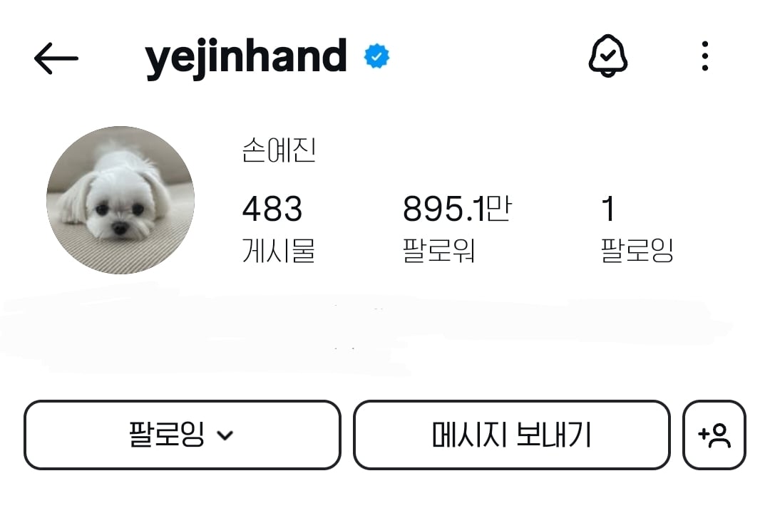 [잡담] 배우 손예진 인스타그램 부계정 아이디 | 인스티즈