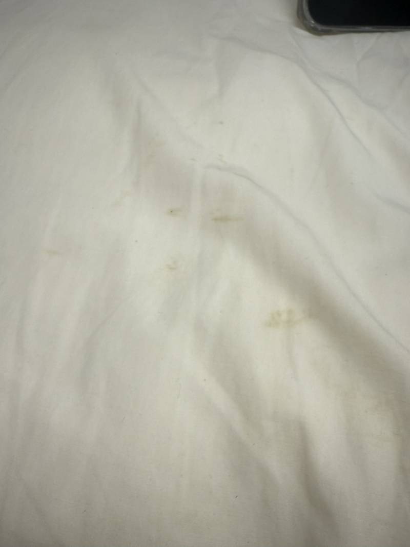 베개에 더러운 거 묻엇는데 이게 뭘까??… | 인스티즈