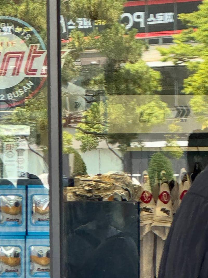 [잡담] 누리 짝짝이 오프엔 오늘도 들어왔나보다 | 인스티즈