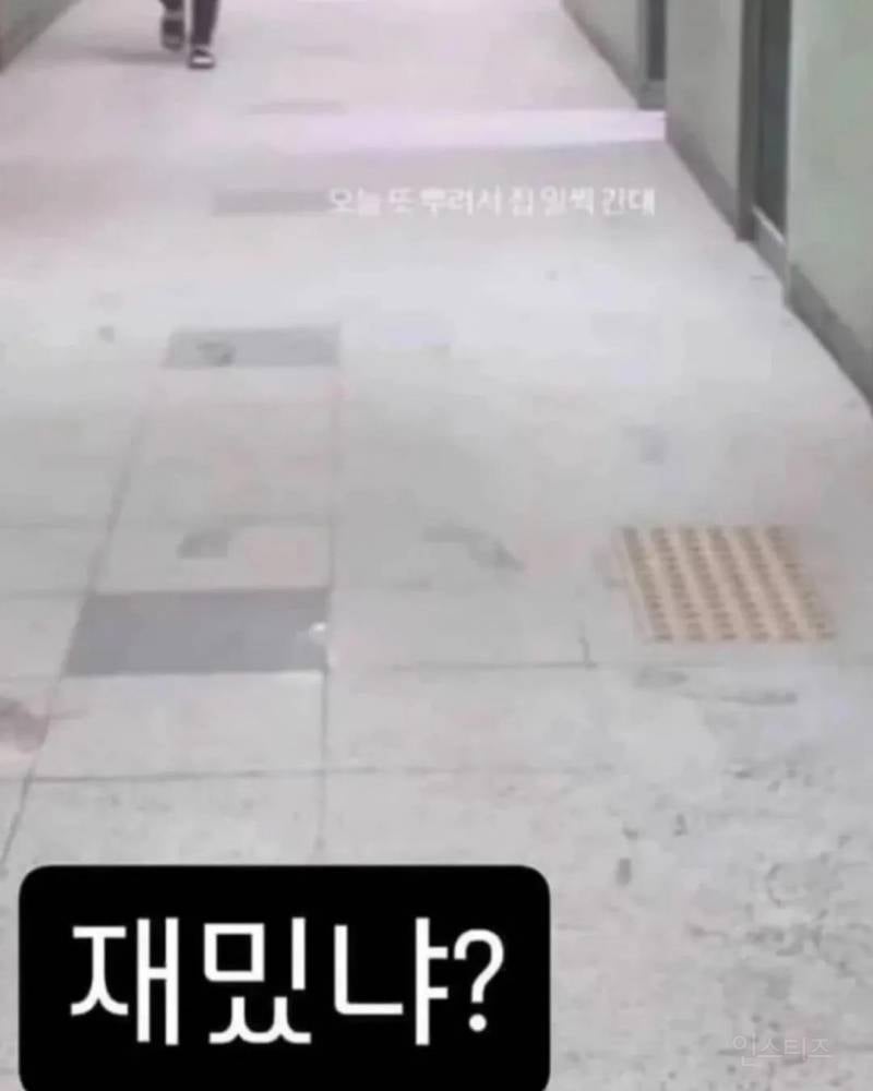 최근 난리난 교권붕괴 현장 | 인스티즈