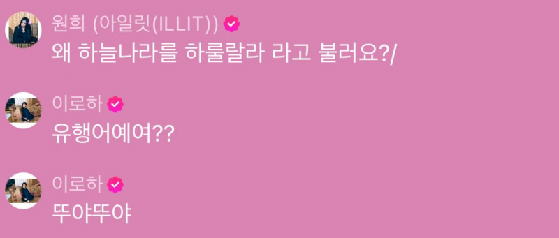 멜론웨이브 채팅마저 귀엽다는 아일릿 ㅋㅋㅋㅋ | 인스티즈