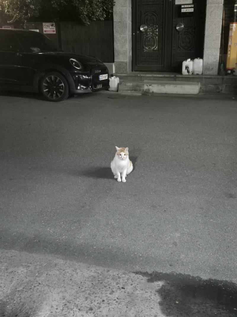 [잡담] 나 먹을 거 없는데ㅠ | 인스티즈