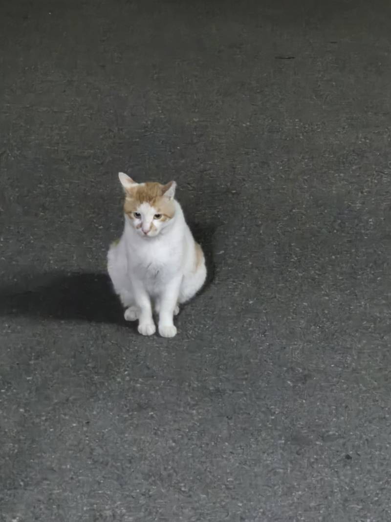 [잡담] 나 먹을 거 없는데ㅠ | 인스티즈