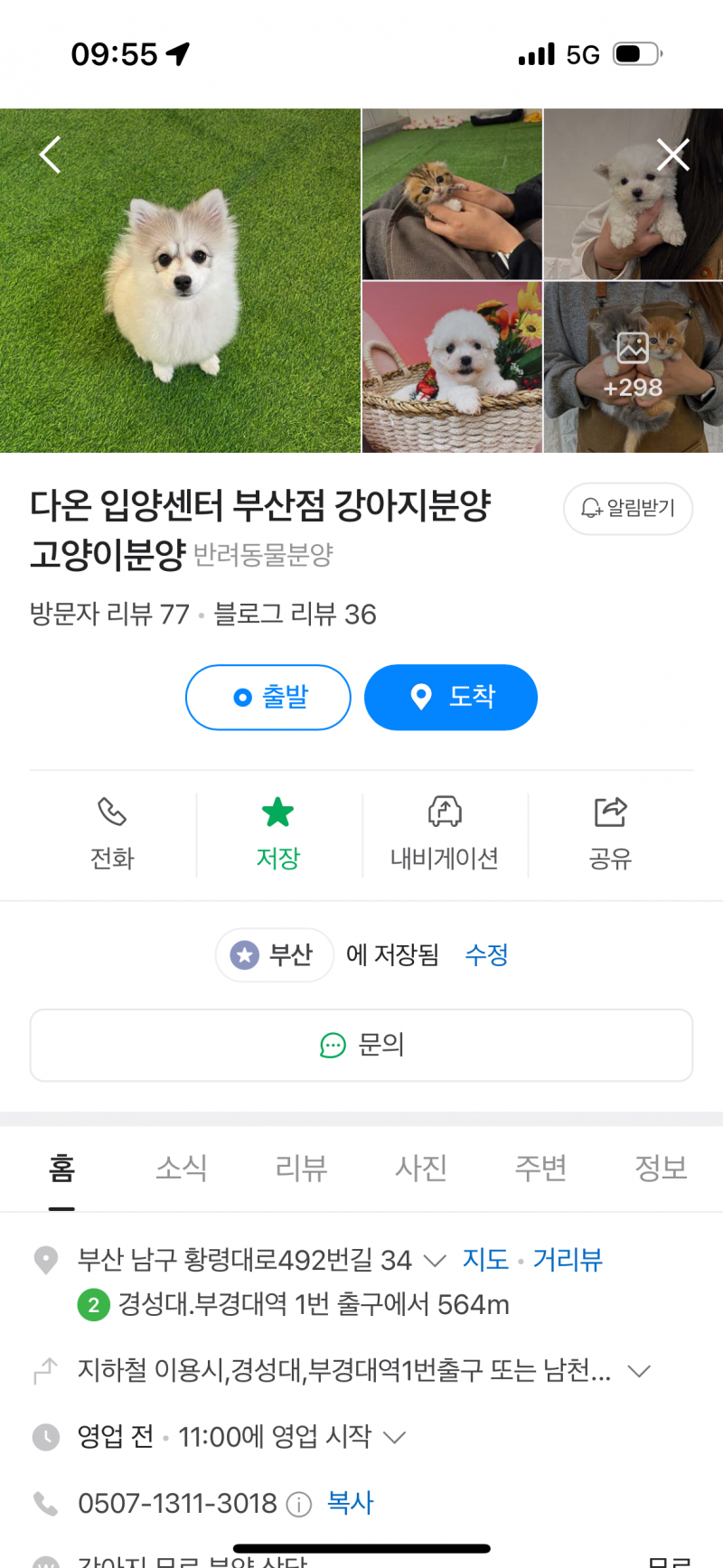 [잡담] 여기 펫샵임?? | 인스티즈