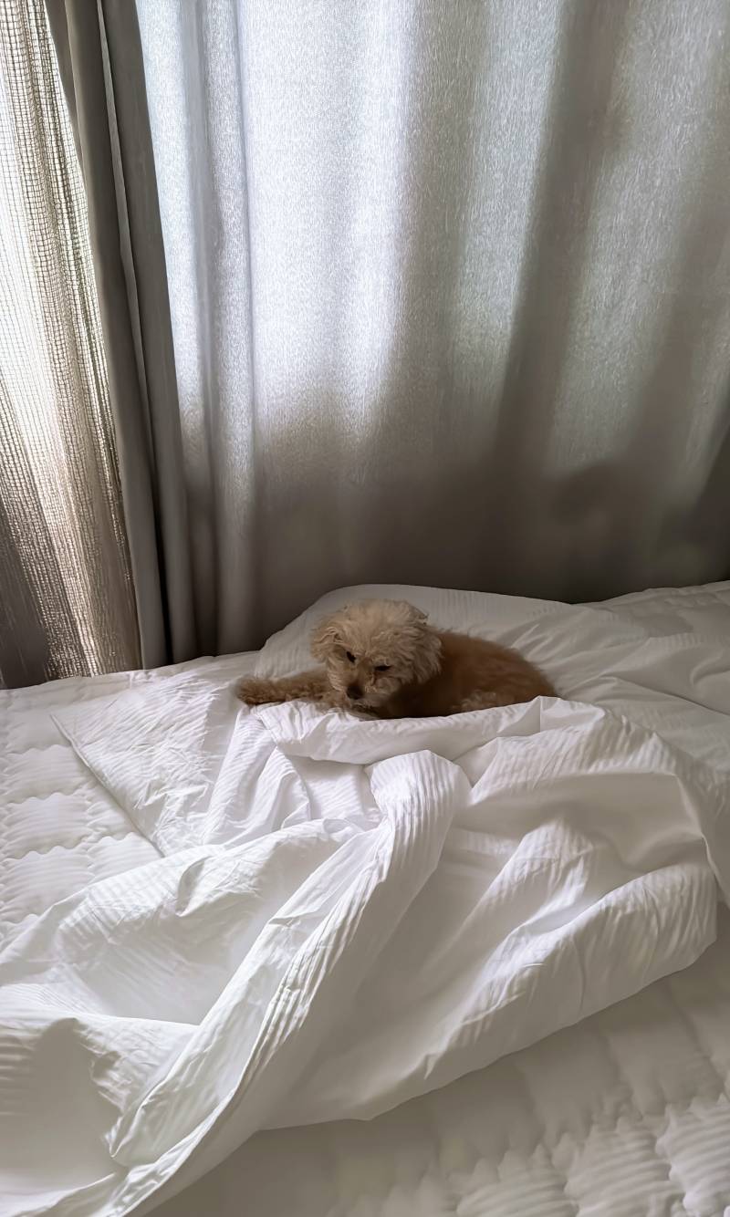 [잡담] 이거 프사로 어때? | 인스티즈