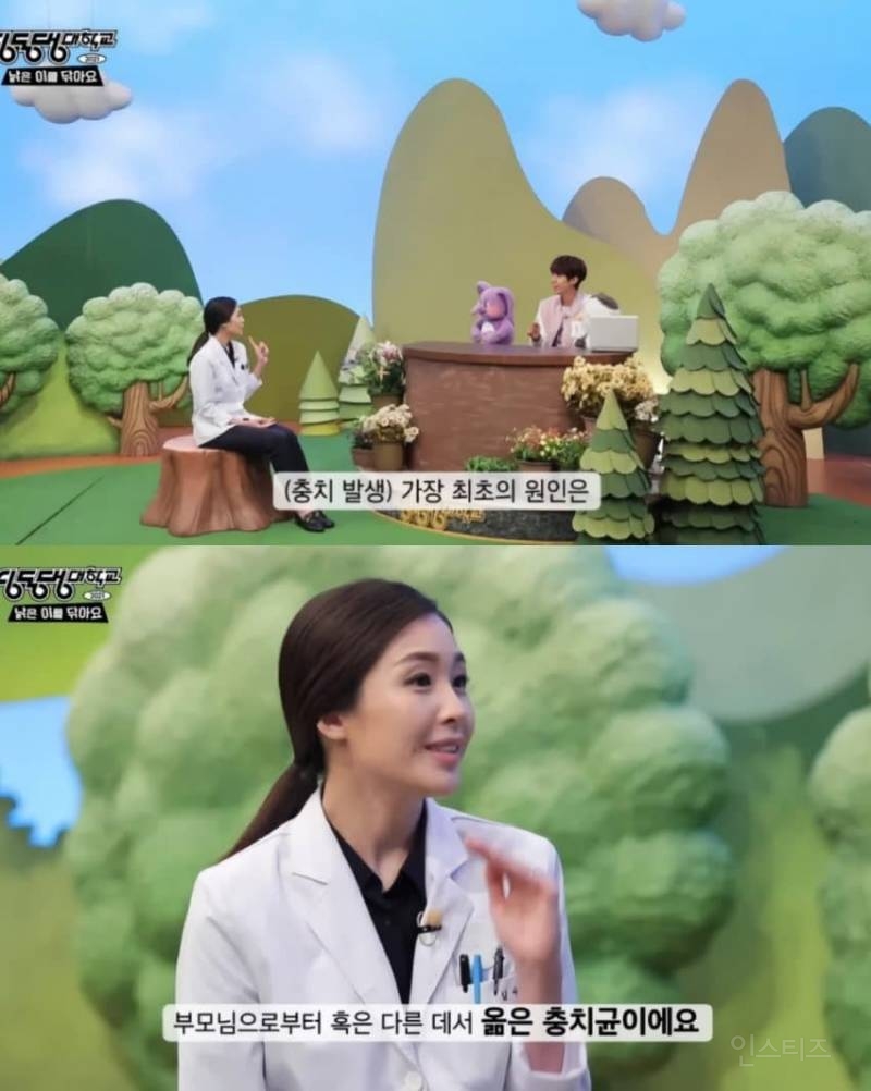 충치가 생기지 않게 할 수 있는 강력한 과학적인 방법 | 인스티즈