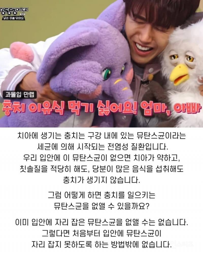 충치가 생기지 않게 할 수 있는 강력한 과학적인 방법 | 인스티즈