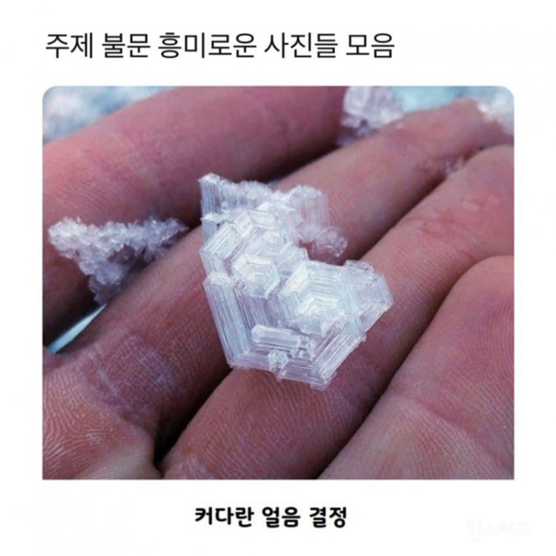 흥미로운 사진들 모음 | 인스티즈