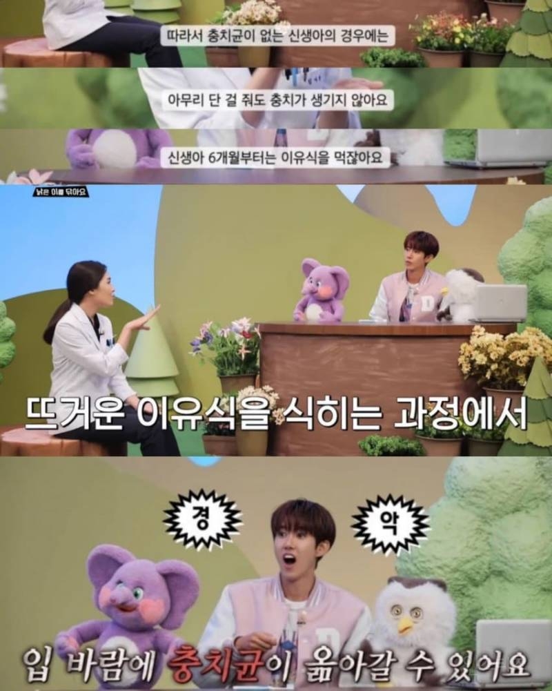 충치가 생기지 않게 할 수 있는 강력한 과학적인 방법 | 인스티즈