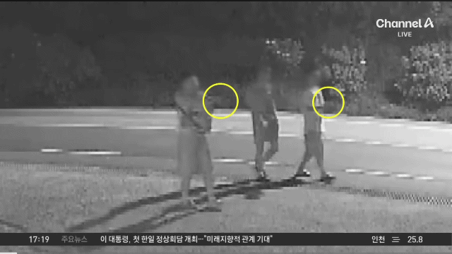 [거제반려견사망사건] 전날 낮부터 비비탄총으로 조준사격하는 20대 남 군인 2명, 민간인 1명.gif | 인스티즈