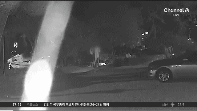 [거제반려견사망사건] 전날 낮부터 비비탄총으로 조준사격하는 20대 남 군인 2명, 민간인 1명.gif | 인스티즈