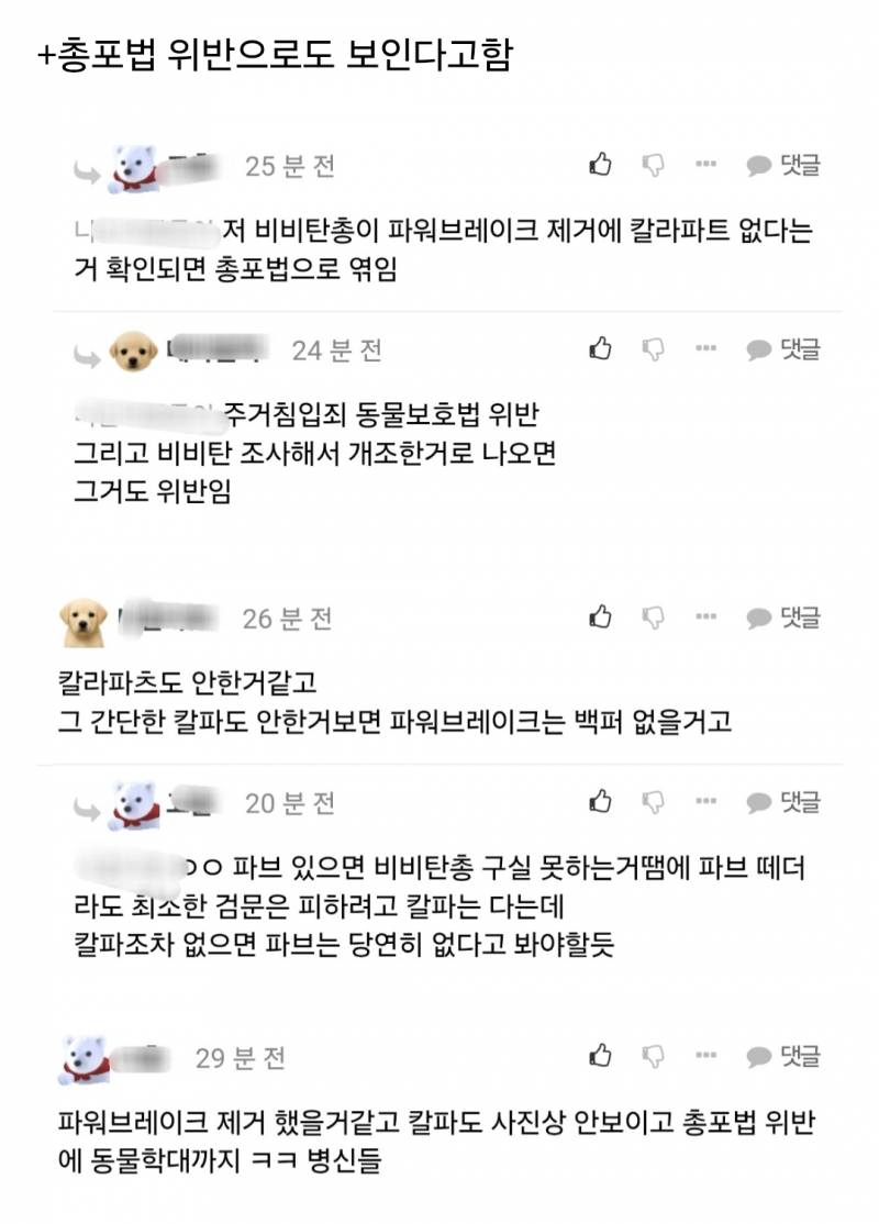 강아지한테 비비탄 쏜 사건 난리난 이유.jpg | 인스티즈