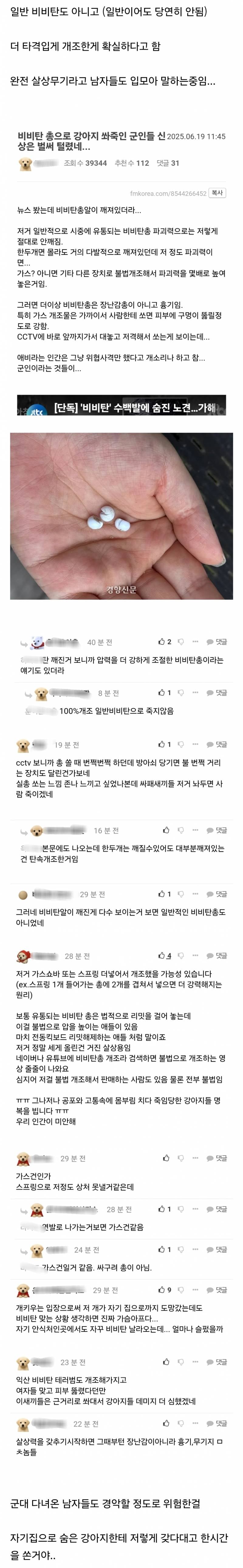 강아지한테 비비탄 쏜 사건 난리난 이유.jpg | 인스티즈