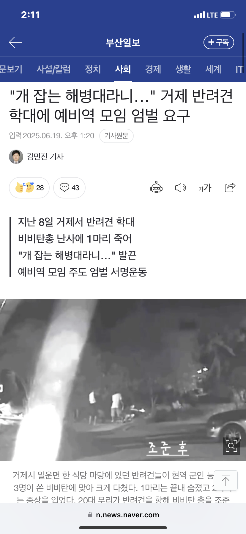 [잡담] 군인이 비비탄 총으로 개 죽인거 자세한 내용 (사진주의) | 인스티즈