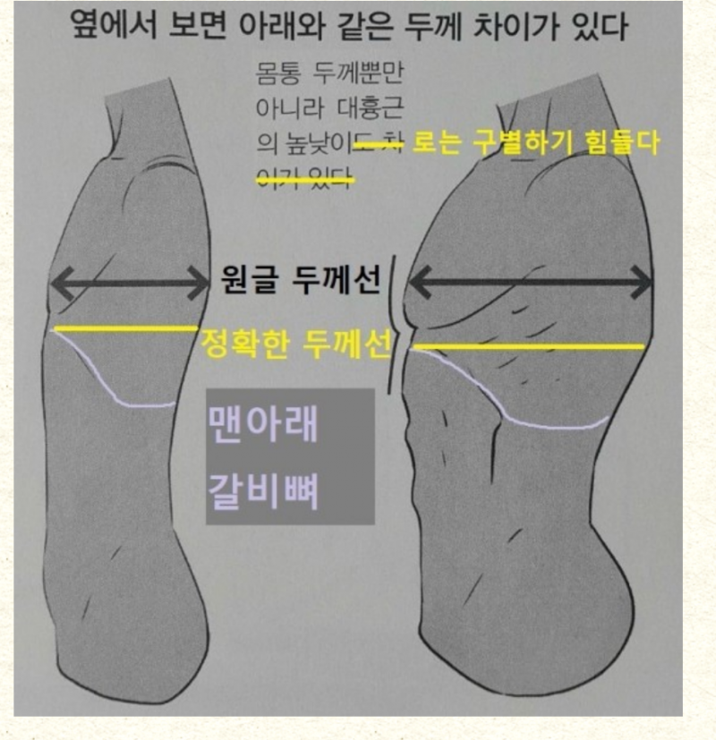 [잡담] 옆통 줄이는 법 아는 사람 ㅜㅜ(사진 0) | 인스티즈