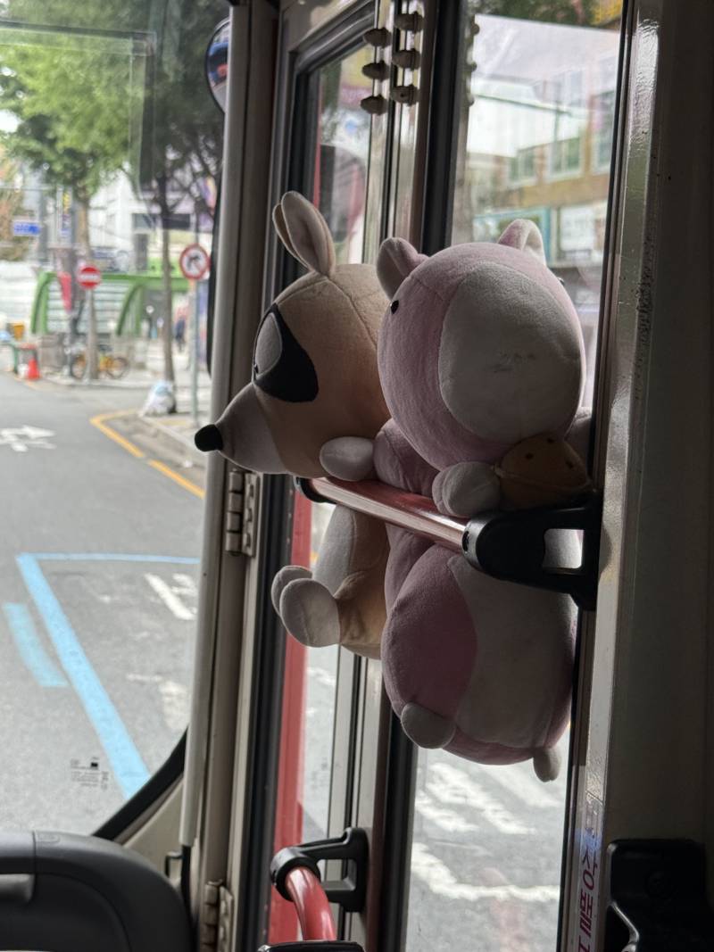 [잡담] 대전만 그런건지 모르겠는데 | 인스티즈