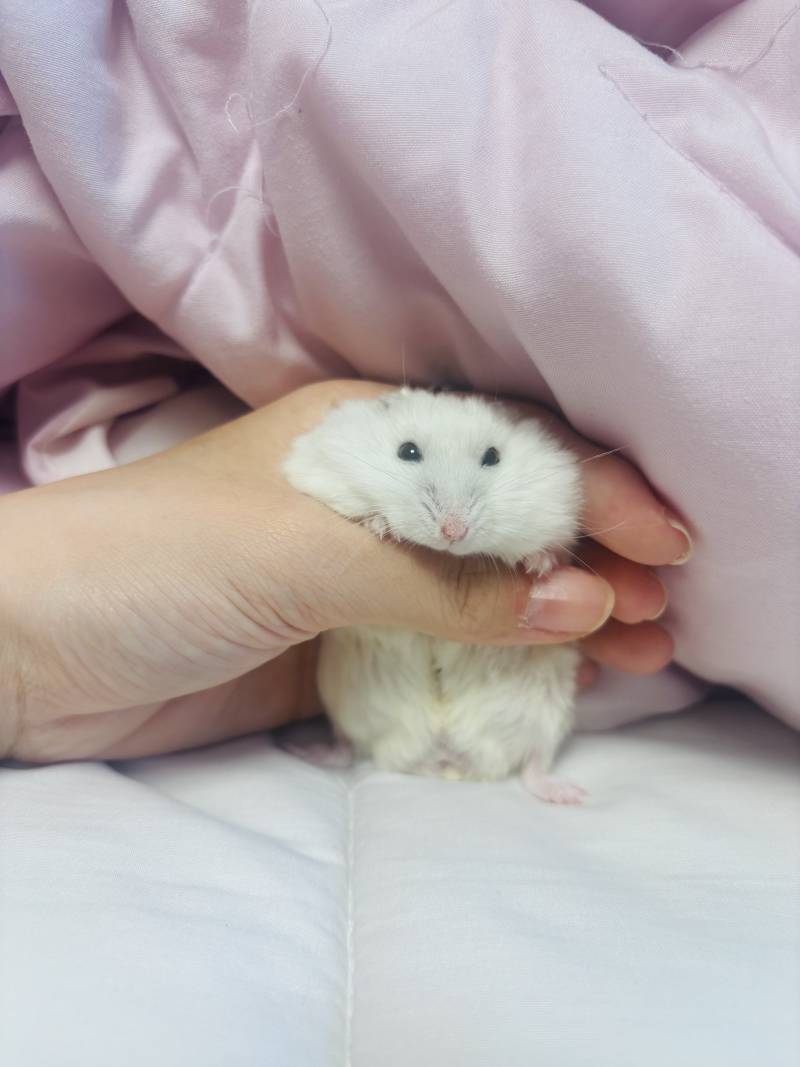 [잡담] 둘중에 솔직히 누가 더 밥 많이 먹을거 같아? | 인스티즈