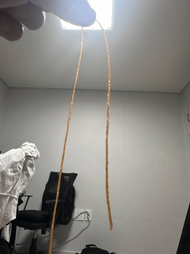 [잡담] 나 쫀디기 먹고있는데 자랑할거있어!! | 인스티즈