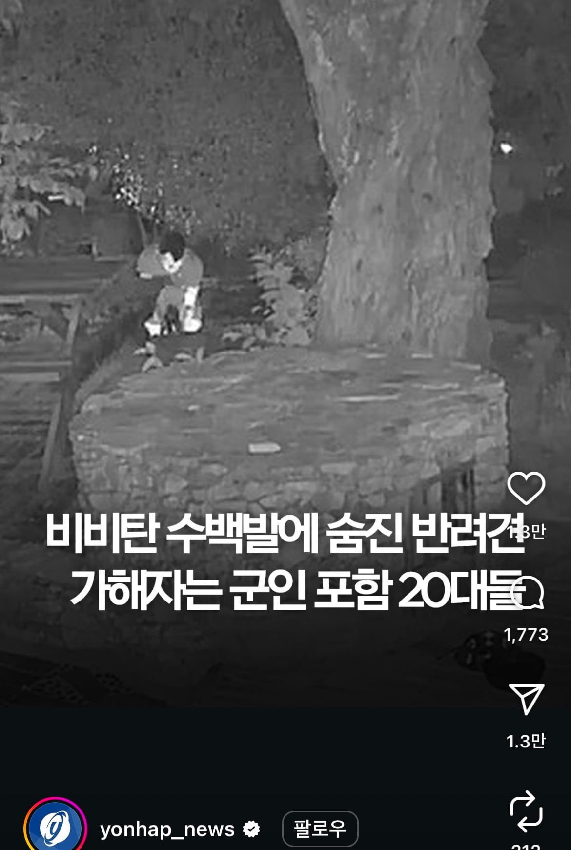 [잡담] 해병대 군인들이 강아지한테 비비탄 수천발 발사해서 죽게 만든 사건 가만있지말고 민원 넣어야되는 이유 | 인스티즈