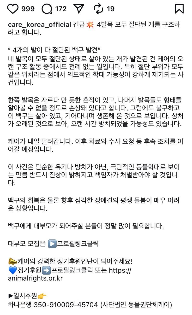 🚨네 발목이 잘린 채 발견된 백구 (충격주의)🚨 | 인스티즈