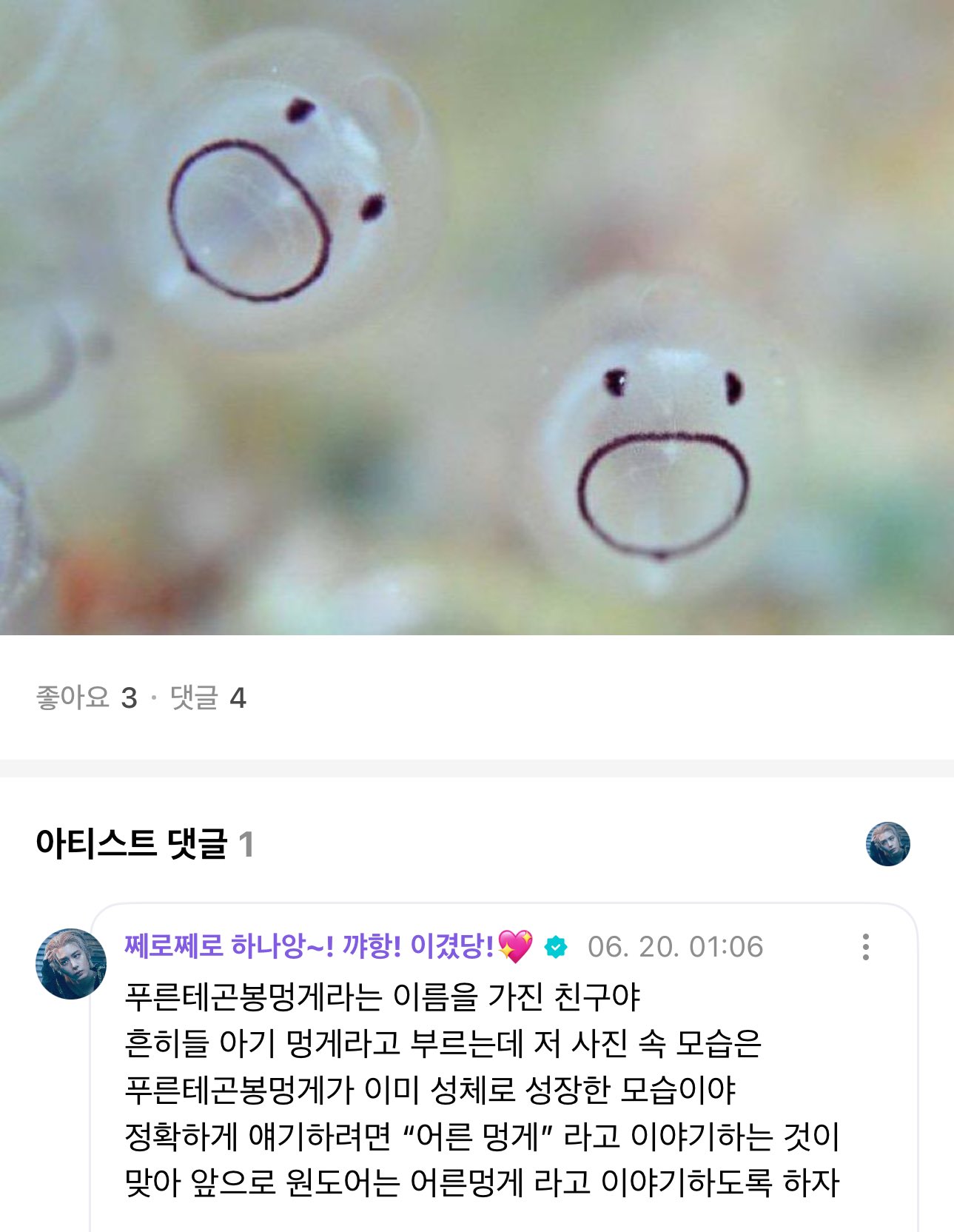 [잡담] 허거거거걱 우리가 흔히 알고있는 아기멍게가 아기멍게가 아니래 ㄷ | 인스티즈