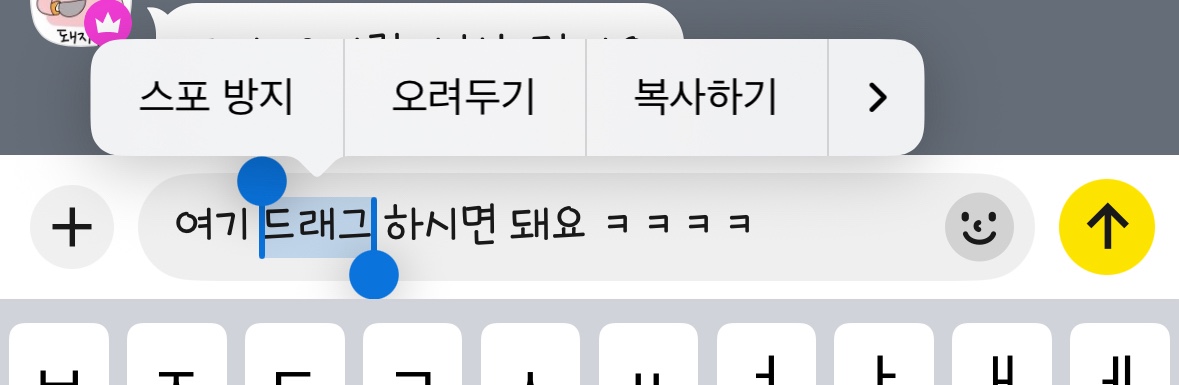 [정보/소식] 🚨🚨🚨🚨🚨카톡 개재밌는 신기능 🚨🚨🚨🚨🚨 | 인스티즈