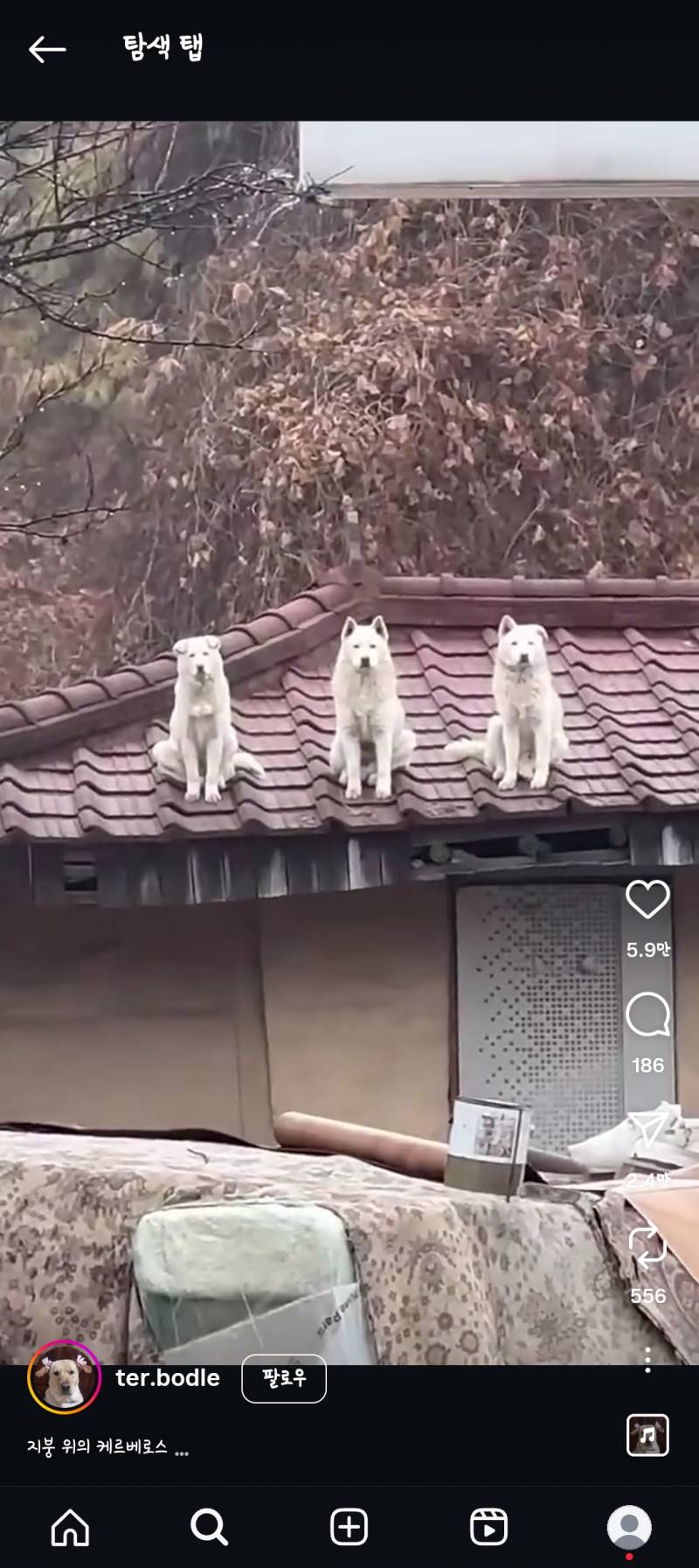 [잡담] 귀 접힌거 모야ㅋㅋㅋㅋㅋㅋㅋㅋㅋㅋㅋㅋ | 인스티즈