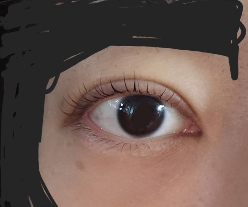 [잡담] 속눈썹펌 했는데 오때? | 인스티즈