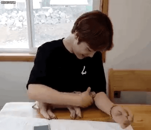 [잡담] 주학년 돼지 데리고 브이앱 방송 했던 거 진짜 귀여웠는데 | 인스티즈