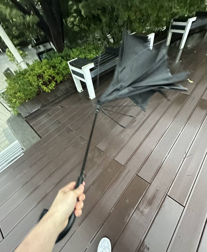 [잡담] 내 앞사람 우산 뒤집혔더라 | 인스티즈