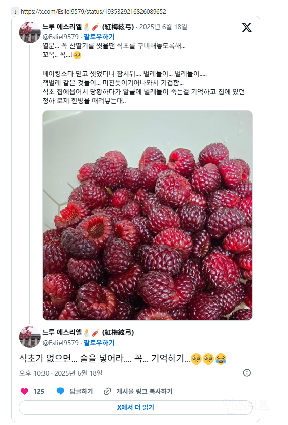 열분... 꼭 산딸기를 씻을땐 식초를 구비해놓도록해... 꼬옥.. 꼭...! | 인스티즈