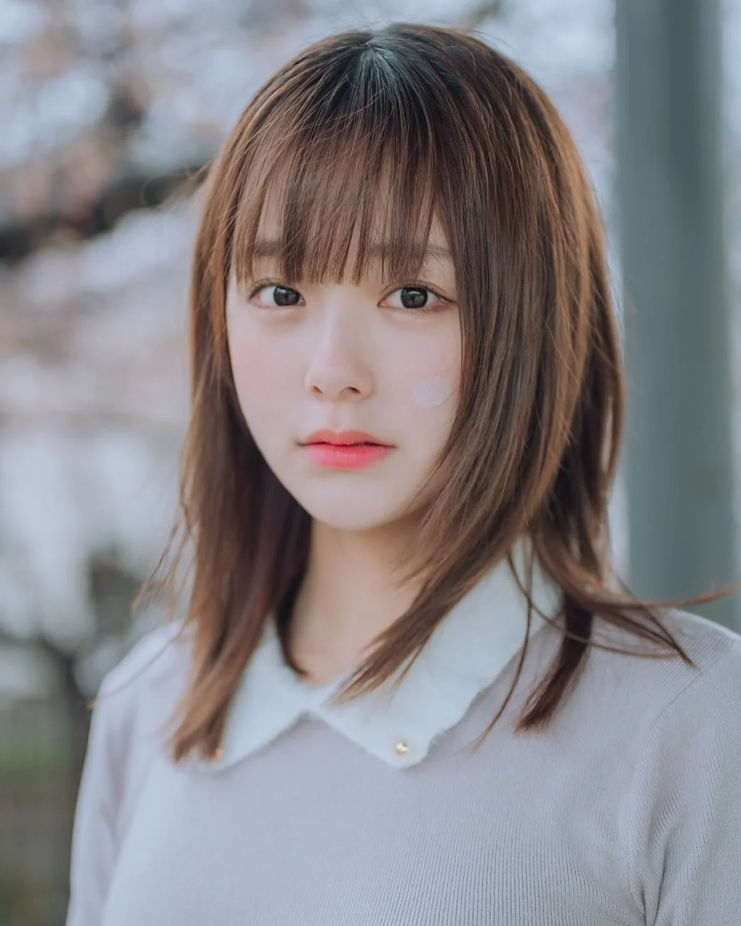 [잡담] 이분 일본인들이 좋아하는 상임? | 인스티즈