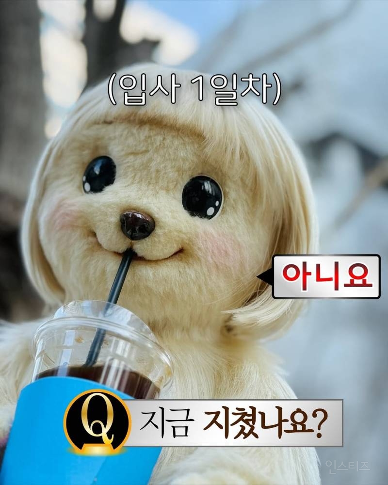 펌글) 요즘 세태 풍자 하이퍼리얼리즘으로 말아주는 유튜브 채널 | 인스티즈