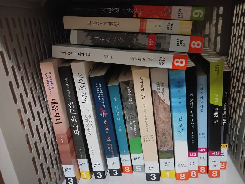 [잡담] 이 중에서 뭘 먼저 읽을까? | 인스티즈