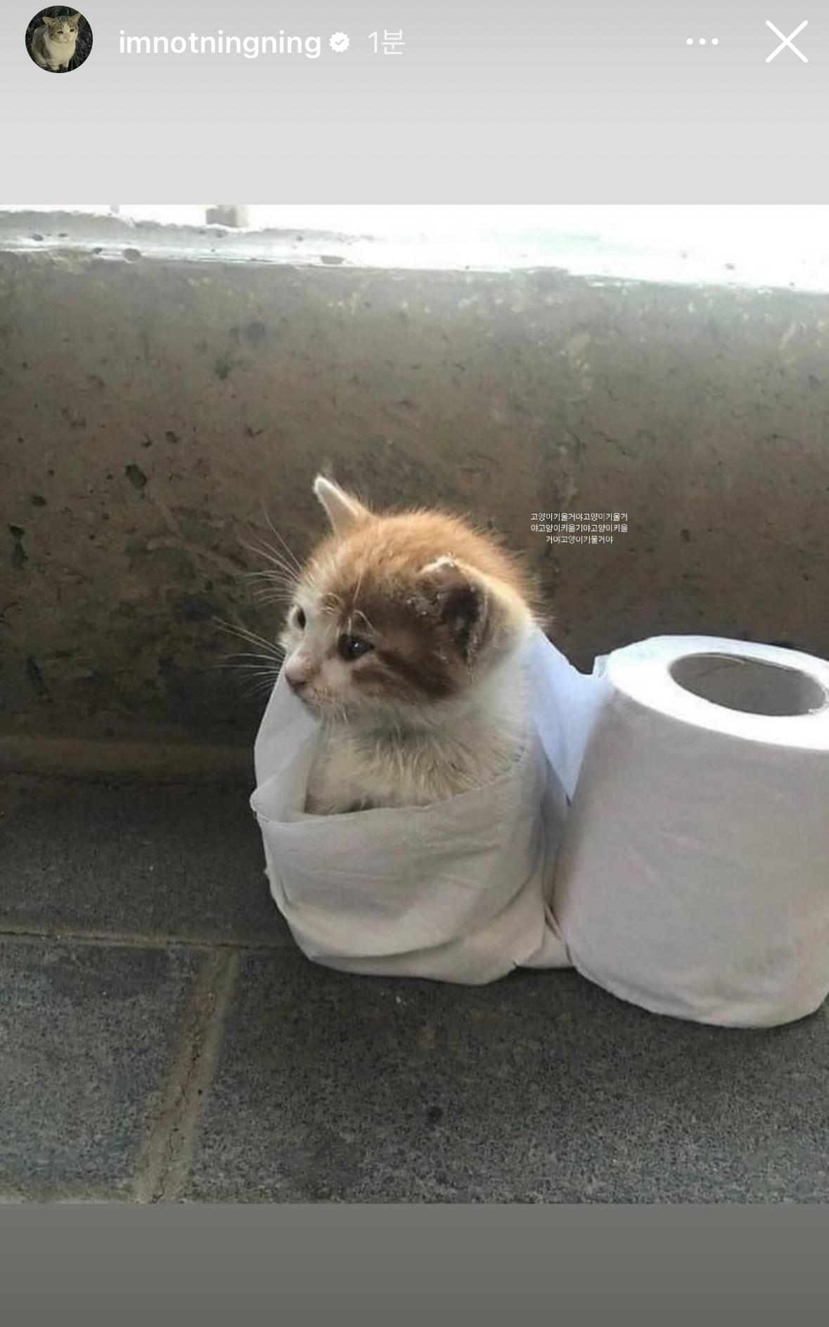 [잡담] 닝닝 스토맄ㅋㅋㅋㅋㅋㅋ | 인스티즈