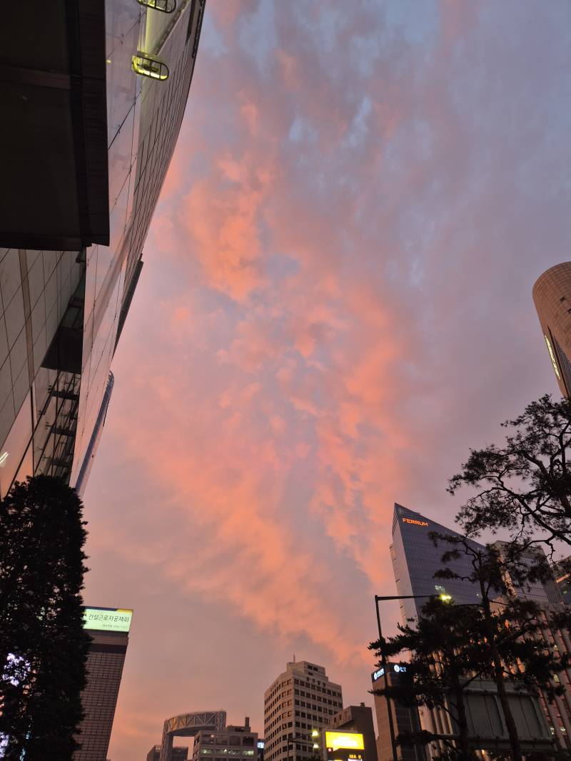 [잡담] 외국인들 다 이거 찍고있네 | 인스티즈