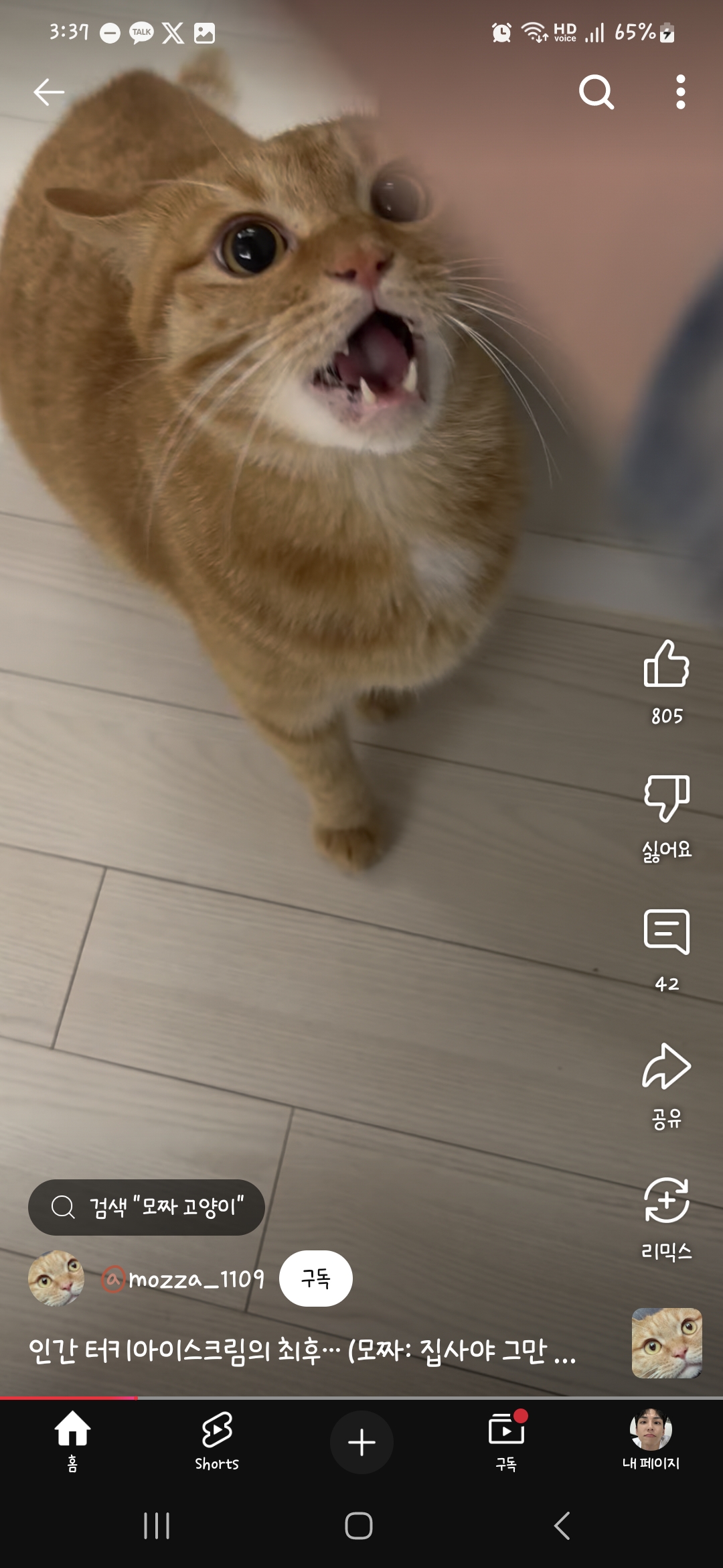 [잡담] 나 고양이를 안키워봐서 모르는데 원래 이렇게 아랫니도 뾰족해?? | 인스티즈