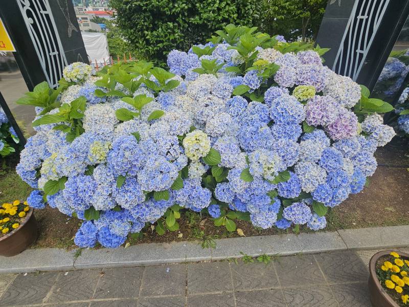 [잡담] | 인스티즈